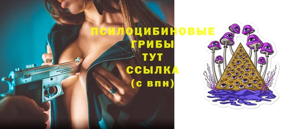 mdpv Елизово