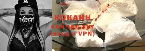 сатива Елабуга
