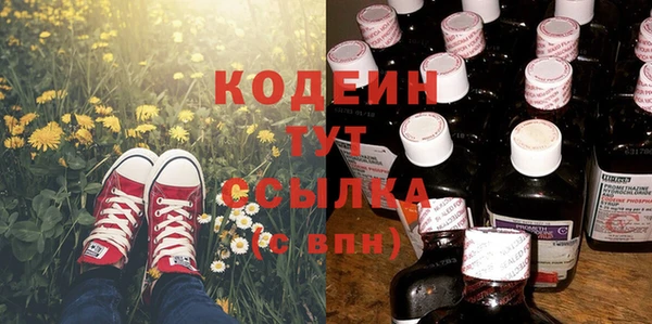 сатива Елабуга
