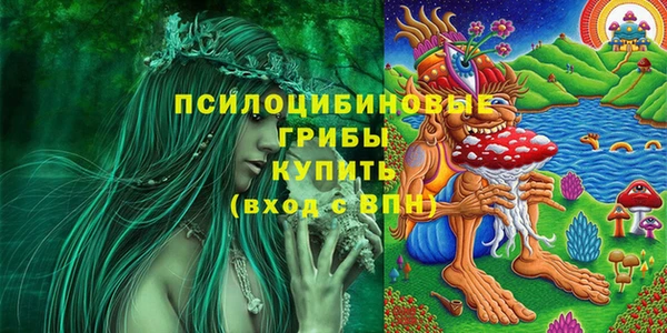 mdpv Елизово