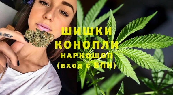 mdpv Елизово