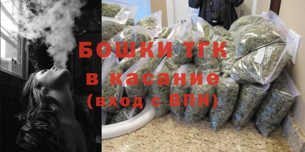 сатива Елабуга