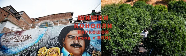 mdpv Елизово