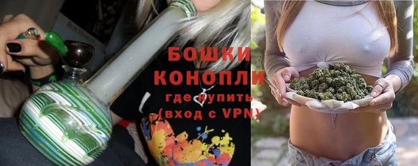 сатива Елабуга
