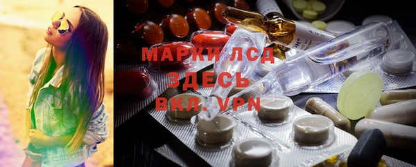 mdpv Елизово