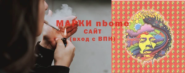 сатива Елабуга